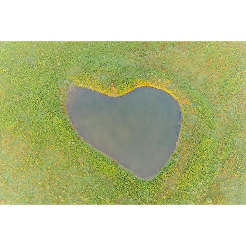 Heart shaped pond-Marion County-Illinois Black Modern Wood Framed Art Print by Day, Richard and Susan