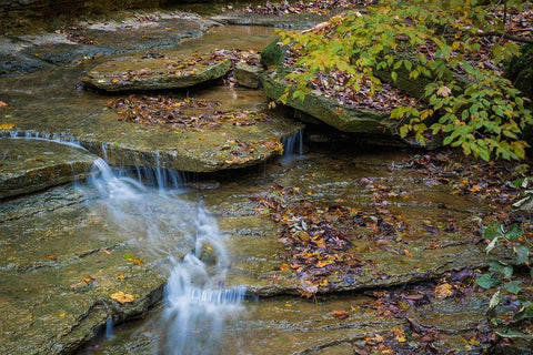 Rocky Ledges with Waterfall in Clifty Creek Park-Indiana White Modern Wood Framed Art Print with Double Matting by Miller, Anna