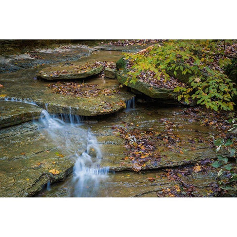 Rocky Ledges with Waterfall in Clifty Creek Park-Indiana Black Modern Wood Framed Art Print by Miller, Anna