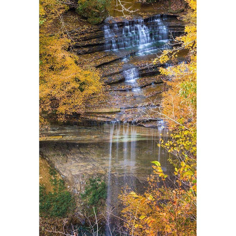 Fall Foliage Over Waterfall in Clifty Creek Park-Southern Indiana Gold Ornate Wood Framed Art Print with Double Matting by Miller, Anna