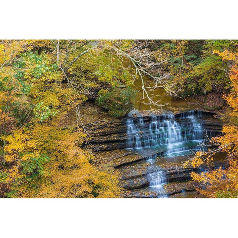 Fall Foliage Over Waterfall in Clifty Creek Park-Southern Indiana White Modern Wood Framed Art Print by Miller, Anna