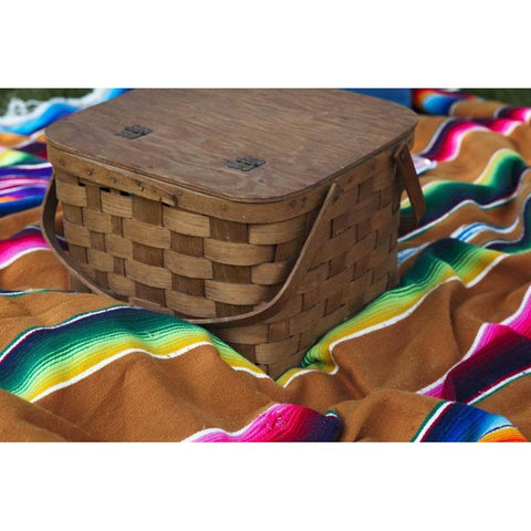 Indiana, Indianapolis Picnic basket and blanket Gold Ornate Wood Framed Art Print with Double Matting by Kaveney, Wendy