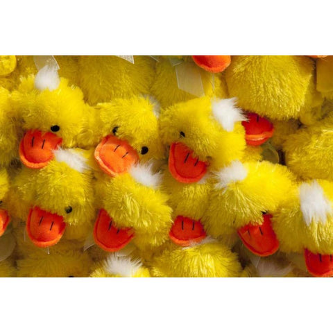 Indiana, Indianapolis Display of stuffed ducks Gold Ornate Wood Framed Art Print with Double Matting by Kaveney, Wendy