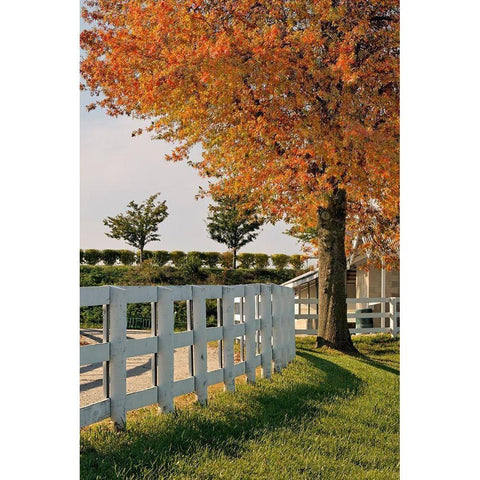White fences-Keeneland race track-Lexington-Kentucky Black Modern Wood Framed Art Print with Double Matting by Jones, Adam