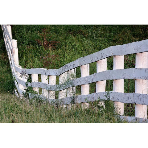 White wooden fence across rolling hill-Shaker Village of Pleasant Hill-Harrodsburg-Kentucky White Modern Wood Framed Art Print by Jones, Adam