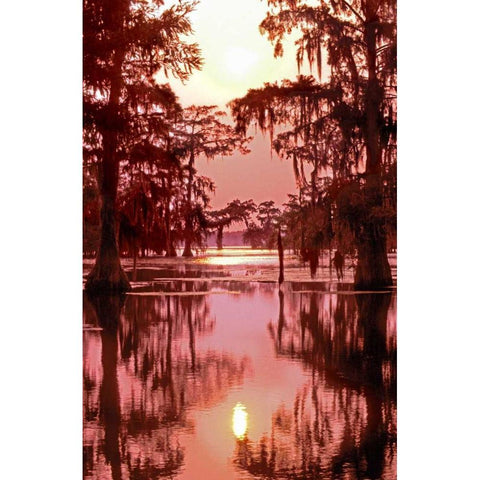 Louisiana Sunset on a Atchafalaya Basin bayou Black Modern Wood Framed Art Print by Welling, Dave