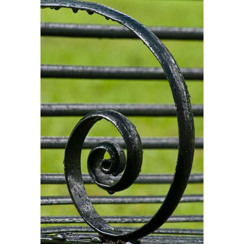 Louisiana, Vacherie Iron bench spiral Black Modern Wood Framed Art Print by Kaveney, Wendy