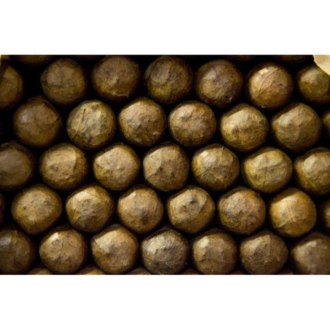 Louisiana, New Orleans Abstract of cigars White Modern Wood Framed Art Print by Kaveney, Wendy