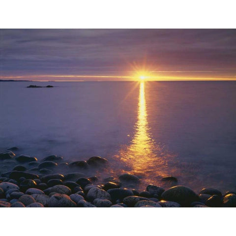 ME, Acadia NP,Â  Sunrise on fog and shore rocks Black Modern Wood Framed Art Print by Talbot Frank, Christopher
