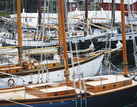 USA, Maine, Camden Sailboats in harbor White Modern Wood Framed Art Print with Double Matting by Terrill, Steve