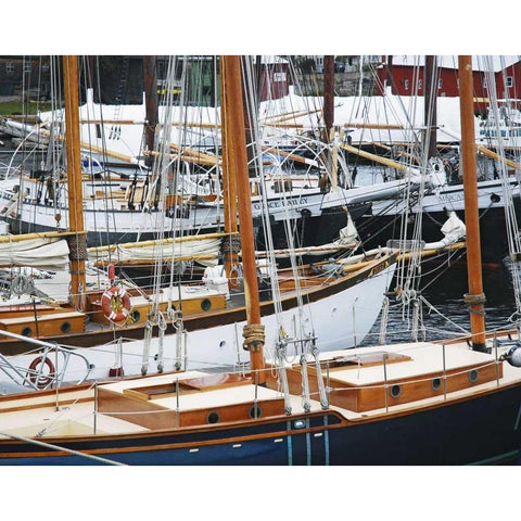 USA, Maine, Camden Sailboats in harbor Black Modern Wood Framed Art Print by Terrill, Steve
