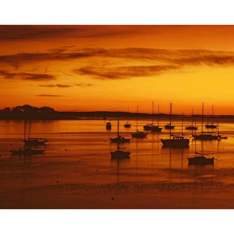 ME, Camden Sailboats silhouetted at sunrise Black Modern Wood Framed Art Print by Terrill, Steve