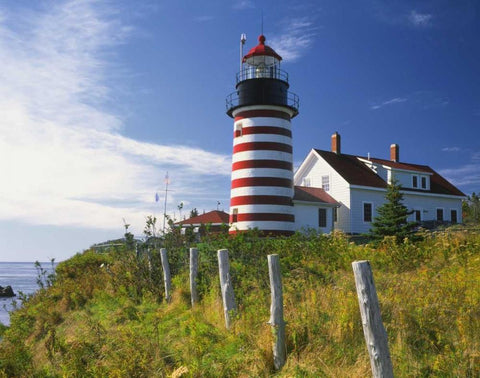 ME, Lubec West Quoddy Head Lighthouse White Modern Wood Framed Art Print with Double Matting by Terrill, Steve