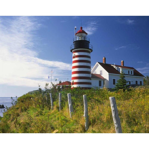 ME, Lubec West Quoddy Head Lighthouse Gold Ornate Wood Framed Art Print with Double Matting by Terrill, Steve