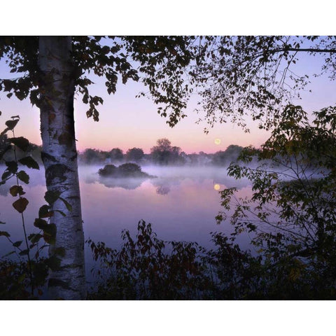 ME, Pittsfield Moonset with fog over Mill Pond Black Modern Wood Framed Art Print by Terrill, Steve