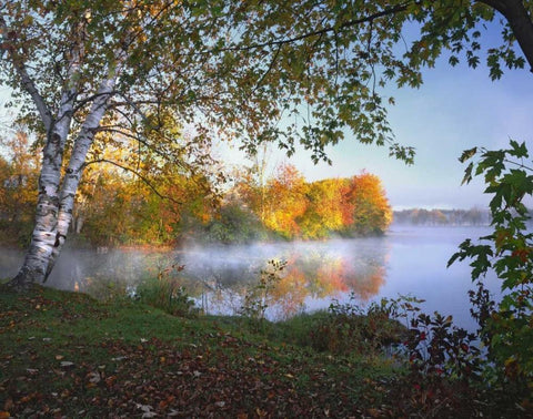 ME, Pittsfield Morning and fog over Douglas Pond Black Ornate Wood Framed Art Print with Double Matting by Terrill, Steve
