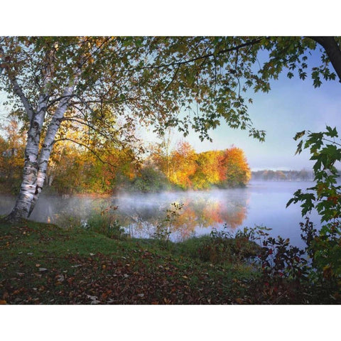 ME, Pittsfield Morning and fog over Douglas Pond White Modern Wood Framed Art Print by Terrill, Steve