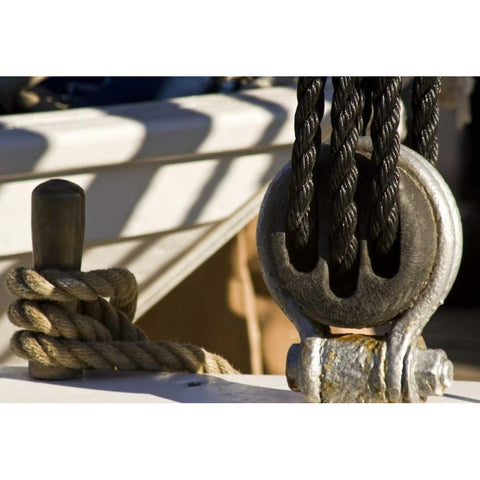 Maine, Castine Boat rope and pulley Black Modern Wood Framed Art Print by Kaveney, Wendy