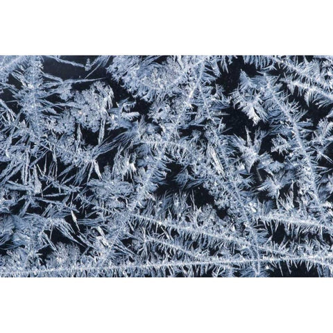 ME, HarpswellIce patterns on a winter window Black Modern Wood Framed Art Print by Clemons, Kathleen