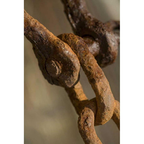 USA, Maine, Harpswell Rusted chain on a pier Gold Ornate Wood Framed Art Print with Double Matting by Clemons, Kathleen