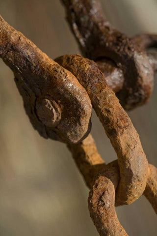 USA, Maine, Harpswell Rusted chain on a pier White Modern Wood Framed Art Print with Double Matting by Clemons, Kathleen