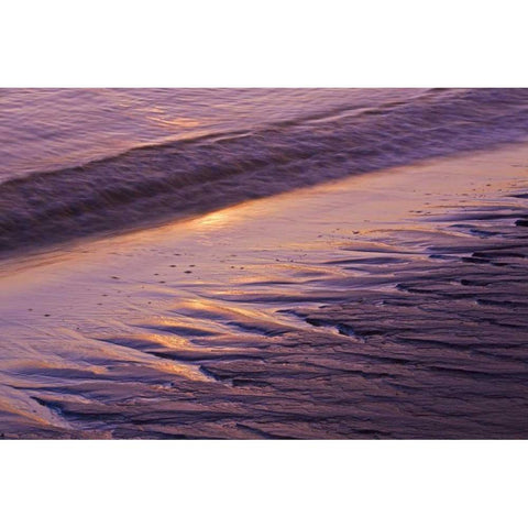 ME, Phippsburg Sunrise on Popham Beach White Modern Wood Framed Art Print by Clemons, Kathleen