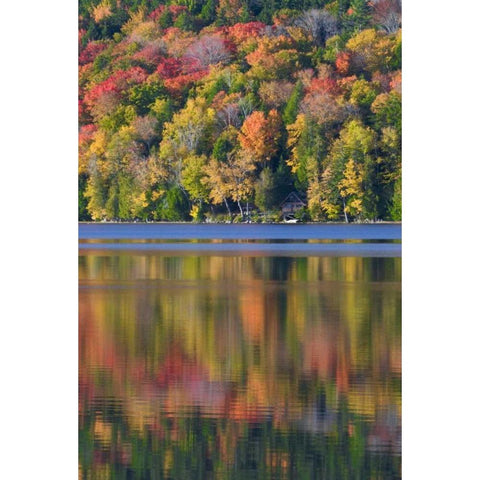 ME, Acadia NP Fall foliage and lake Gold Ornate Wood Framed Art Print with Double Matting by Rotenberg, Nancy