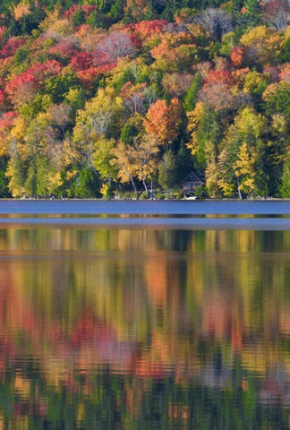 ME, Acadia NP Fall foliage and lake White Modern Wood Framed Art Print with Double Matting by Rotenberg, Nancy