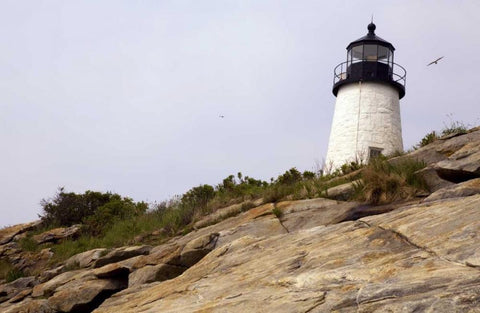 ME, Pemaquid Lighthouse overlooks coastline Black Ornate Wood Framed Art Print with Double Matting by Clemons, Kathleen
