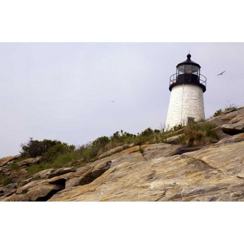 ME, Pemaquid Lighthouse overlooks coastline Black Modern Wood Framed Art Print by Clemons, Kathleen