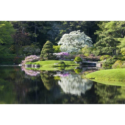 Maine, Northeast Harbor Garden pond scenic Black Modern Wood Framed Art Print by Rotenberg, Nancy