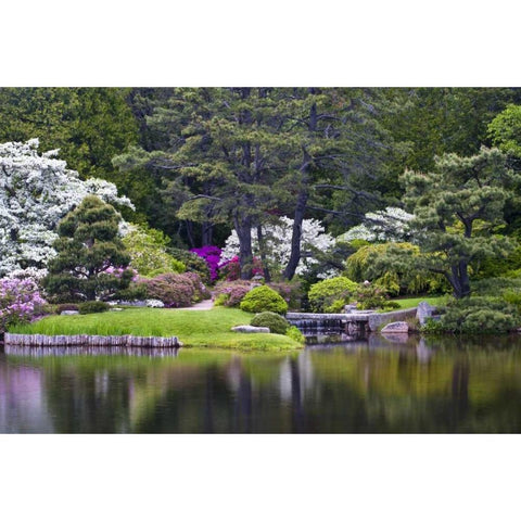 Maine, Northeast Harbor View over a garden pond Black Modern Wood Framed Art Print with Double Matting by Rotenberg, Nancy