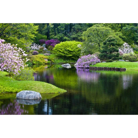 Maine, Northeast Harbor Green garden Scenic White Modern Wood Framed Art Print by Rotenberg, Nancy