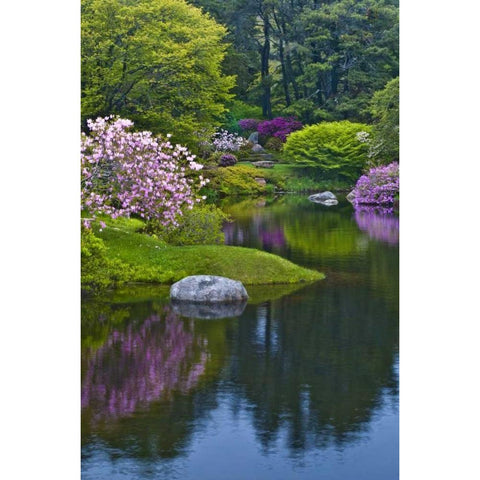 Maine, Northeast Harbor Azalea Garden Black Modern Wood Framed Art Print with Double Matting by Rotenberg, Nancy