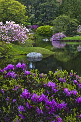 Maine, Northeast Harbor Beautiful Azalea Garden Black Ornate Wood Framed Art Print with Double Matting by Rotenberg, Nancy