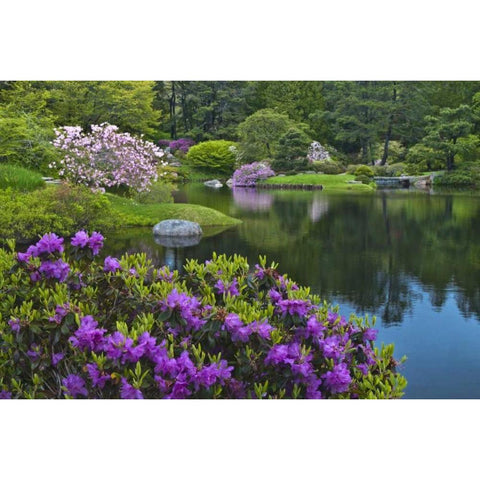 Maine, Northeast Harbor Garden pond scenic Black Modern Wood Framed Art Print by Rotenberg, Nancy