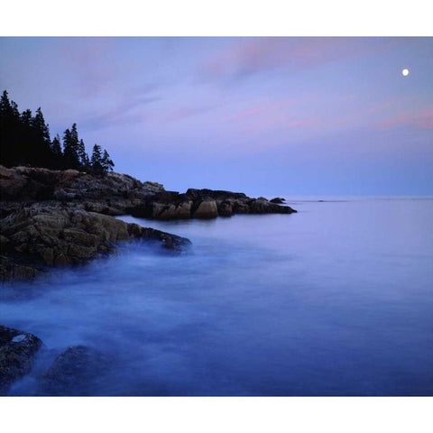 USA, Maine Acadia NP Moonrise over the Atlantic Black Modern Wood Framed Art Print by Talbot Frank, Christopher