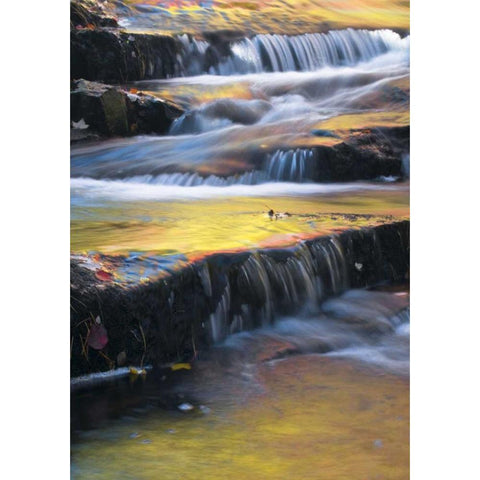 Maine, Acadia NP Autumn reflections in stream Black Modern Wood Framed Art Print by Rotenberg, Nancy