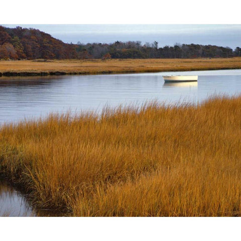 USA, Maine Boat anchored in Mousam River Black Modern Wood Framed Art Print by Terrill, Steve