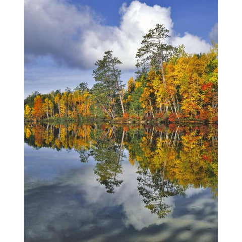 USA, Maine Autumn scenic of Upper Togue Pond Black Modern Wood Framed Art Print by Terrill, Steve
