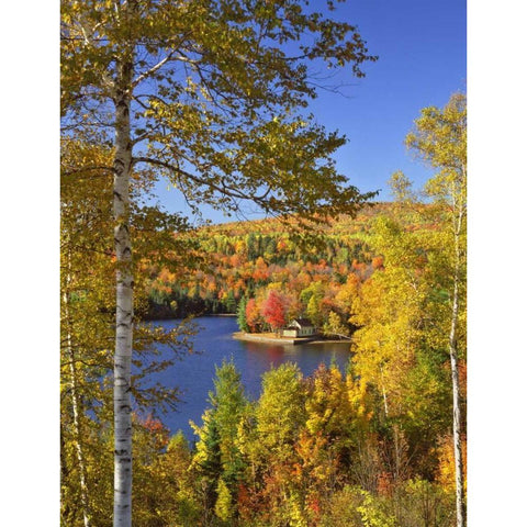 USA, Maine, Bingham Wyman Lake and autumn colors Black Modern Wood Framed Art Print with Double Matting by Terrill, Steve