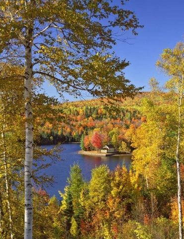 USA, Maine, Bingham Wyman Lake and autumn colors White Modern Wood Framed Art Print with Double Matting by Terrill, Steve