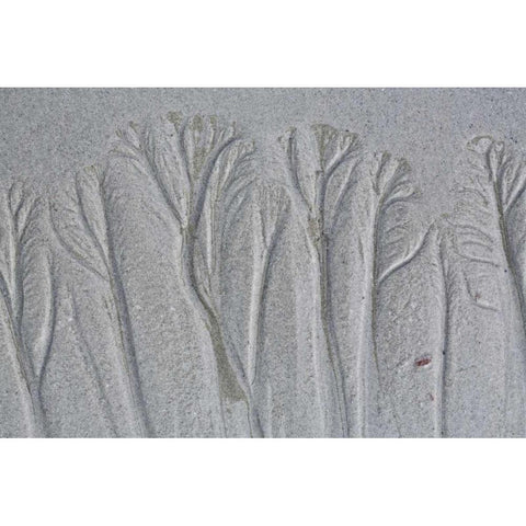 Maine, Pine Point Forest-like sand patterns White Modern Wood Framed Art Print by Delisle, Gilles