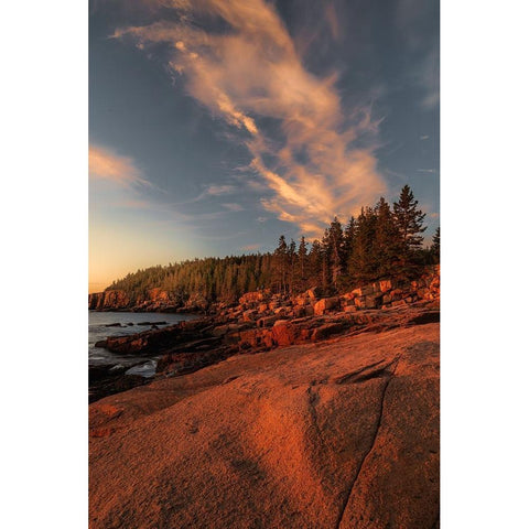 USA-Maine-Acadia National Park Sunrise on ocean coastline Black Modern Wood Framed Art Print by Jaynes Gallery