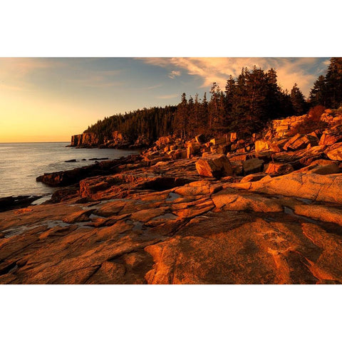 USA-Maine-Acadia National Park Sunrise on ocean coastline Gold Ornate Wood Framed Art Print with Double Matting by Jaynes Gallery
