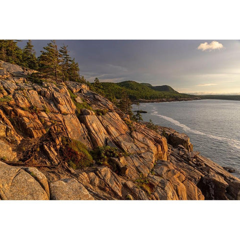 Otter Cliffs at sunrise in Acadia National Park-Maine-USA Black Modern Wood Framed Art Print by Haney, Chuck