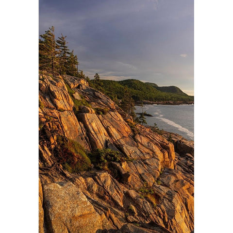 Otter Cliffs at sunrise in Acadia National Park-Maine-USA Black Modern Wood Framed Art Print with Double Matting by Haney, Chuck