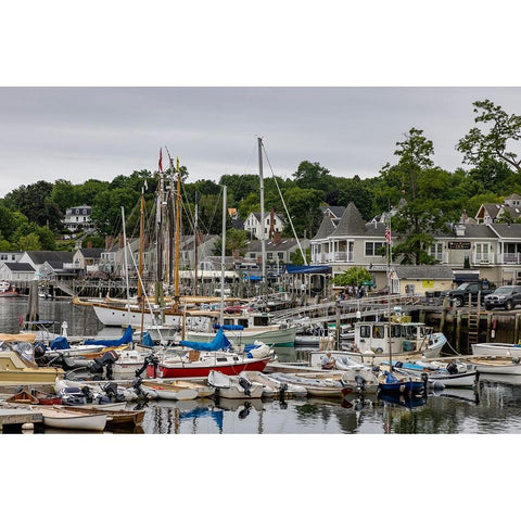 Boats in harbor in Camden-Maine-USA Black Modern Wood Framed Art Print by Haney, Chuck