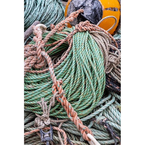 Lobster rope in Bernard-Maine-USA Black Modern Wood Framed Art Print by Haney, Chuck