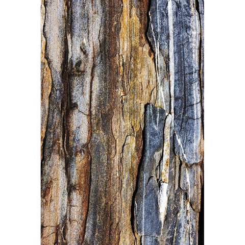 Striated rock at Pemaquid Point-Maine-USA Gold Ornate Wood Framed Art Print with Double Matting by Haney, Chuck